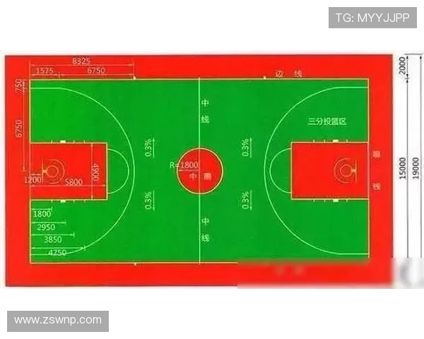 巴列卡诺球场因标准差异在西甲与欧战采用不同场地尺寸方案