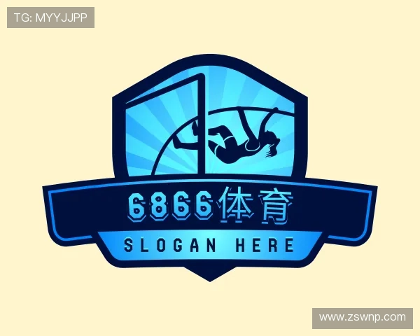了解6866